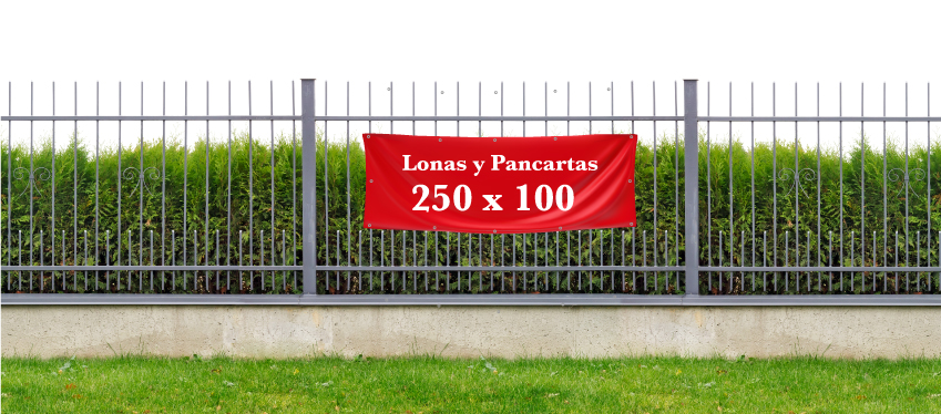Pancarta 250 x 100 cm