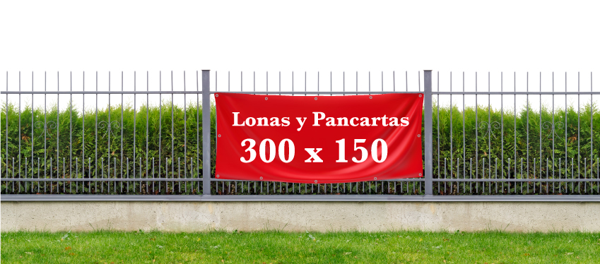 Pancarta 300 x 150 cm