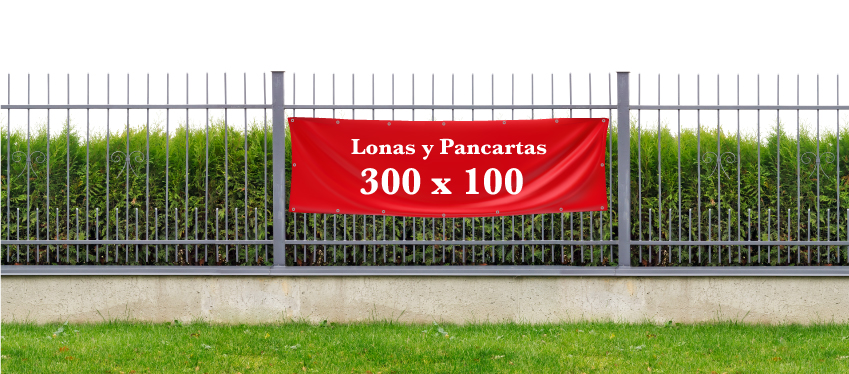 Pancarta 300 x 100 cm