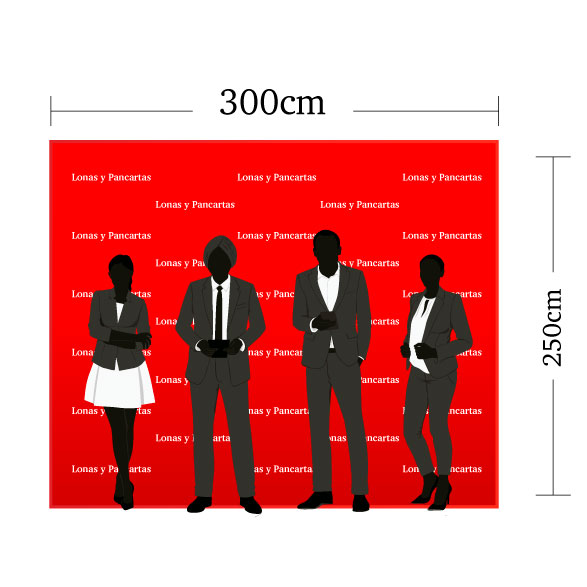 300x250